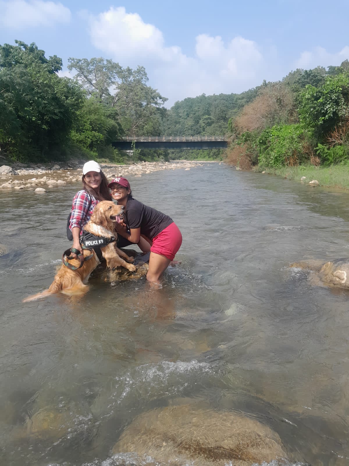 Best Places To Stay In Jim Corbett